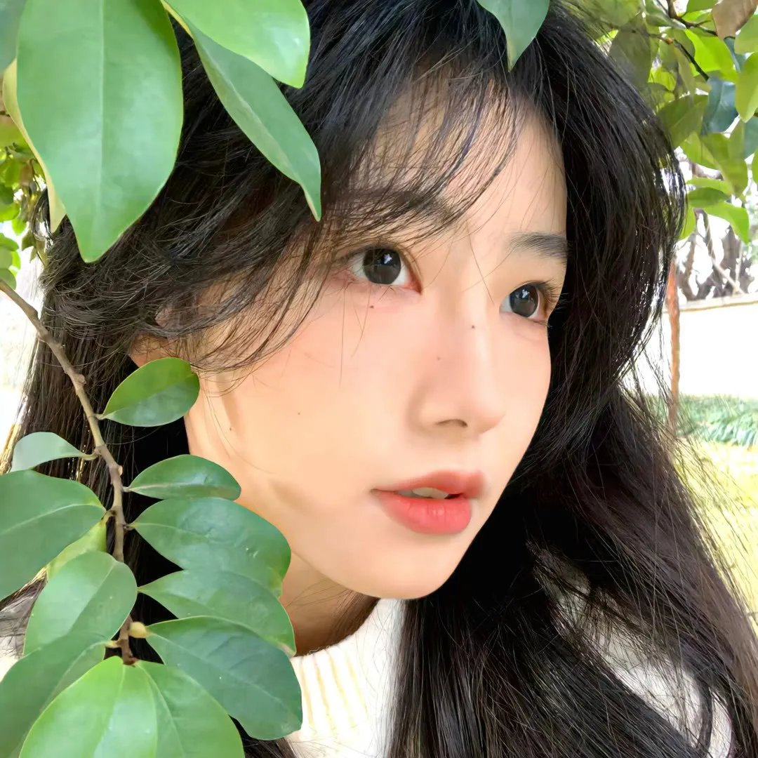 恶女出闸